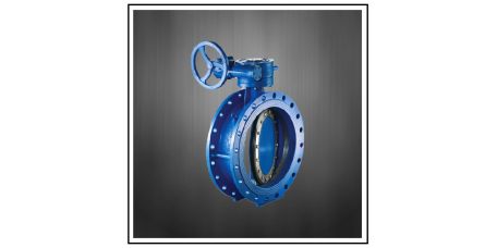 TEK Double Flange Butterfly Valve